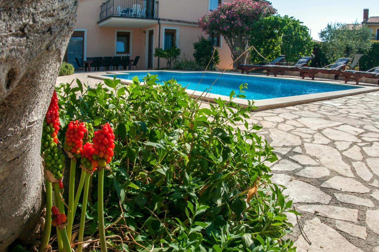 House /Villa Maja Ližnjan Esterno foto